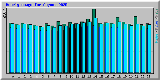 Hourly usage for August 2025